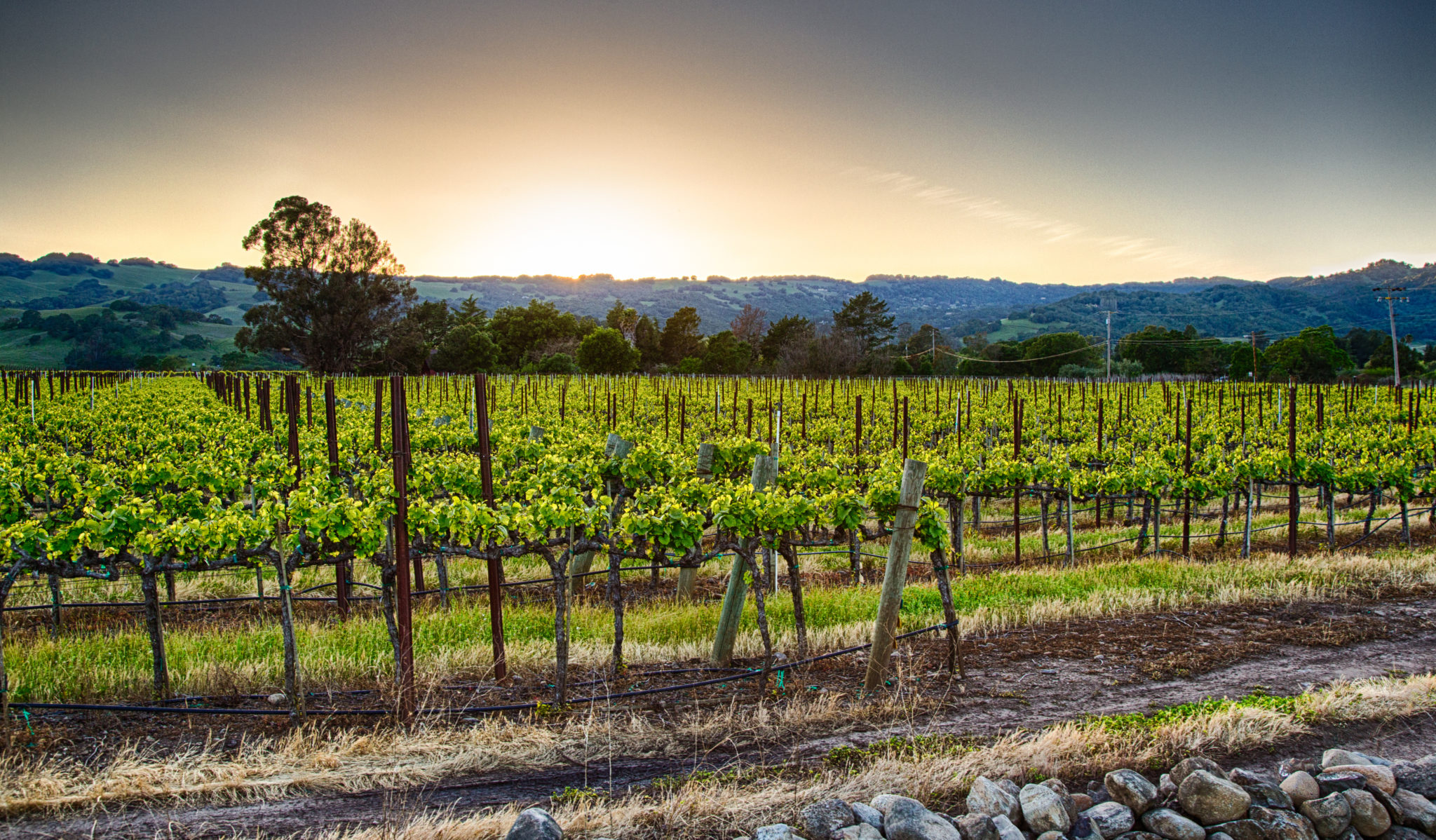 Napa Valley » Na California Tours